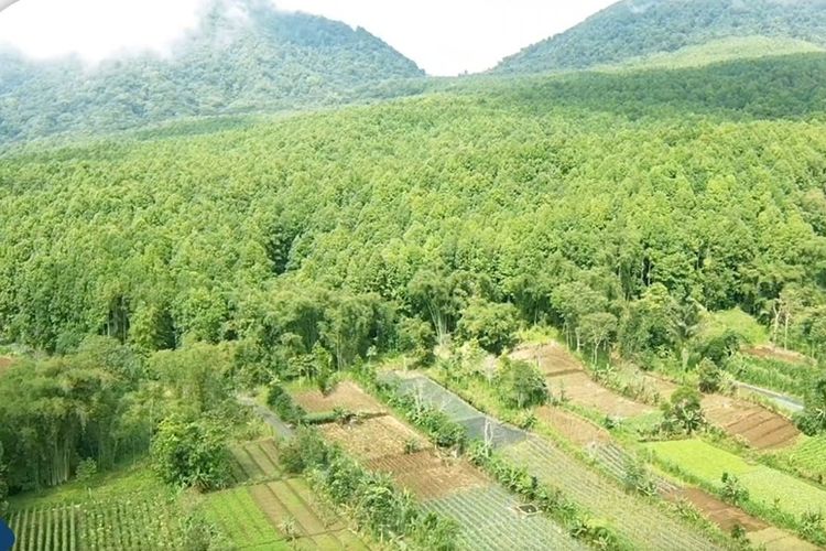 Kawasan hutan memiliki peranan yang sangat penting dalam menjaga keseimbangan ekosistem dan mendukung kehidupan manusia. Namun, di Desa Bangli, perkembangan infrastruktur dan kebutuhan masyarakat telah menyebabkan alih fungsi kawasan hutan menjadi lahan pertanian dan pemukiman. Perubahan ini tidak hanya berdampak pada lingkungan tetapi juga pada kehidupan masyarakat setempat. Dalam konteks ini, penting untuk memahami alasan di balik alih fungsi hutan, dampaknya, dan langkah-langkah apa yang perlu diambil untuk memastikan keberlanjutan lingkungan. Artikel ini akan membahas secara mendalam mengenai pergeseran fungsi kawasan hutan di Desa Bangli, serta urgensi untuk segera mengambil tindakan demi kelestarian alam. 1. Penyebab Alih Fungsi Hutan di Desa Bangli Alih fungsi hutan di Desa Bangli disebabkan oleh berbagai faktor. Pertama, pertumbuhan populasi yang cepat mengakibatkan meningkatnya kebutuhan akan lahan untuk pemukiman. Masyarakat yang terus bertambah memerlukan tempat tinggal, sehingga lahan hutan yang sebelumnya dilindungi mulai dibuka untuk pembangunan perumahan. Selain itu, peningkatan aktivitas ekonomi, terutama di sektor pertanian dan pariwisata, juga berkontribusi terhadap alih fungsi lahan. Faktor kedua adalah kebijakan pemerintah yang cenderung mendukung pengembangan ekonomi di daerah pedesaan. Program-program pembangunan yang dirancang untuk meningkatkan kesejahteraan masyarakat sering kali mengabaikan dampak lingkungan. Pemerintah setempat sering kali memberikan izin untuk pembukaan lahan hutan demi proyek-proyek yang dijanjikan dapat meningkatkan pendapatan masyarakat. Dalam jangka pendek, ini mungkin tampak menguntungkan, tetapi dalam jangka panjang, dampaknya terhadap lingkungan bisa sangat merugikan. Selain itu, kesadaran masyarakat akan pentingnya menjaga kawasan hutan masih tergolong rendah. Banyak masyarakat berpikir bahwa membuka lahan hutan adalah satu-satunya cara untuk meningkatkan pendapatan mereka. Kurangnya informasi tentang dampak negatif dari alih fungsi hutan, seperti penurunan kualitas tanah dan hilangnya keanekaragaman hayati, membuat masyarakat tidak menyadari pentingnya menjaga kawasan hutan. Sebagai tambahan, faktor perubahan iklim juga dapat menjadi pendorong alih fungsi hutan. Perubahan iklim yang menyebabkan cuaca tidak menentu membuat para petani beralih dari tanaman tradisional ke tanaman yang lebih tahan terhadap kondisi ekstrem. Hal ini memerlukan lahan yang lebih luas, sehingga hutan-hutan yang sebelumnya dilindungi pun mulai dibuka. Dengan mengetahui penyebab alih fungsi hutan, kita dapat merumuskan solusi yang lebih efektif untuk mengatasi masalah ini. Solusi tersebut harus mempertimbangkan kebutuhan masyarakat sekaligus menjaga kelestarian lingkungan. 2. Dampak Alih Fungsi Hutan terhadap Lingkungan Dampak dari alih fungsi hutan di Desa Bangli sangat signifikan dan berpotensi merusak keseimbangan ekosistem. Salah satu dampak paling nyata adalah hilangnya keanekaragaman hayati. Hutan merupakan rumah bagi berbagai spesies flora dan fauna. Ketika hutan dibuka untuk pemukiman atau lahan pertanian, banyak spesies yang kehilangan habitatnya, yang pada akhirnya dapat mengarah pada kepunahan. Dampak lainnya adalah peningkatan erosi tanah. Hutan berfungsi sebagai penahan tanah dengan akar-akar pohon yang membantu menjaga stabilitas tanah. Ketika hutan ditebang, lahan menjadi lebih rentan terhadap erosi, yang dapat menyebabkan hilangnya lapisan tanah subur. Hal ini sangat merugikan bagi sektor pertanian, karena tanah yang subur adalah kunci untuk menghasilkan tanaman yang sehat. Alih fungsi hutan juga dapat menyebabkan perubahan iklim lokal. Hutan berperan penting dalam siklus air dengan menyerap air hujan dan mengembalikannya ke atmosfer. Ketika hutan hilang, proses ini terganggu, dan dapat menyebabkan perubahan dalam pola curah hujan. Ini dapat berujung pada kekeringan yang lebih parah atau banjir yang lebih sering, yang berdampak pada kehidupan masyarakat. Lebih jauh lagi, alih fungsi hutan berkontribusi pada peningkatan emisi karbon. Hutan merupakan penyerap karbon yang efektif, dan ketika pohon-pohon ditebang, karbon yang tersimpan di dalamnya dilepaskan ke atmosfer. Ini berkontribusi pada perubahan iklim global dan memperburuk masalah pemanasan global. Dampak-dampak tersebut menunjukkan bahwa alih fungsi hutan bukanlah isu sepele yang bisa diabaikan. Oleh karena itu, penting bagi masyarakat dan pemerintah untuk bekerja sama dalam merumuskan kebijakan yang lebih baik untuk menjaga kelestarian hutan. 3. Upaya yang Dapat Dilakukan untuk Menjaga Kawasan Hutan Menjaga kawasan hutan di Desa Bangli memerlukan kolaborasi antara masyarakat, pemerintah, dan organisasi non-pemerintah. Salah satu langkah awal yang dapat diambil adalah meningkatkan kesadaran masyarakat tentang pentingnya hutan. Edukasi melalui seminar, workshop, atau bahkan program pendidikan di sekolah-sekolah dapat membantu masyarakat memahami fungsi dan manfaat hutan. Pemerintah juga harus mengambil tindakan lebih tegas dalam mengatur alih fungsi lahan. Kebijakan yang lebih ketat mengenai izin pembukaan lahan hutan harus diterapkan. Selain itu, pemerintah dapat memberikan insentif bagi masyarakat yang memilih untuk menjaga hutan, seperti program reboisasi atau pengelolaan hutan berbasis masyarakat. Di sisi lain, pengembangan alternatif ekonomi yang tidak bergantung pada alih fungsi lahan sangat penting. Masyarakat dapat didorong untuk mengembangkan praktik pertanian yang berkelanjutan, seperti agroforestry, yang menggabungkan pertanian dengan penanaman pohon. Ini tidak hanya akan meningkatkan produktivitas tetapi juga membantu menjaga keanekaragaman hayati. Kerjasama dengan organisasi non-pemerintah juga dapat memperkuat upaya konservasi. Banyak organisasi yang memiliki program untuk rehabilitasi lahan dan pelestarian hutan. Dengan bermitra, desa dapat mendapatkan bantuan teknis dan sumber daya untuk menjaga kawasan hutan mereka. Langkah-langkah ini membutuhkan komitmen dan kerjasama dari semua pihak. Jika semua berjalan sesuai rencana, kawasan hutan di Desa Bangli dapat dilestarikan untuk generasi mendatang. 4. Rencana Keberlanjutan untuk Kawasan Hutan di Desa Bangli Rencana keberlanjutan untuk kawasan hutan di Desa Bangli harus mencakup strategi jangka pendek dan jangka panjang. Pada jangka pendek, fokus utama adalah pada pelestarian kawasan hutan yang tersisa. Upaya reboisasi harus dilakukan untuk mengganti pohon-pohon yang telah ditebang. Program penanaman pohon yang melibatkan masyarakat lokal juga dapat meningkatkan rasa memiliki dan tanggung jawab terhadap hutan. Selain itu, pemantauan kawasan hutan harus dilakukan secara rutin. Penggunaan teknologi seperti pemantauan satelit dapat membantu dalam mengawasi perubahan yang terjadi di kawasan hutan. Dengan data yang akurat, tindakan pencegahan dapat diambil sebelum kerusakan semakin parah. Di jangka panjang, perlu ada perencanaan tata ruang yang mempertimbangkan kelestarian lingkungan. Pemerintah daerah harus memastikan bahwa kebijakan pembangunan tidak hanya berfokus pada peningkatan ekonomi tetapi juga mempertimbangkan dampak lingkungan. Penyusunan rencana tata ruang yang berkelanjutan dapat membantu mencegah alih fungsi lahan yang berlebihan. Selain itu, keterlibatan komunitas dalam pengelolaan hutan harus ditekankan. Memberikan hak kepada masyarakat lokal untuk mengelola hutan dapat menjadi solusi jangka panjang yang efektif. Ketika masyarakat merasa memiliki hutan, mereka akan lebih berkomitmen untuk menjaga dan melestarikannya. Pentingnya rencana keberlanjutan ini tidak hanya untuk menjaga kawasan hutan di Desa Bangli, tetapi juga untuk memastikan keberlanjutan kehidupan masyarakat yang bergantung pada sumber daya alam tersebut.